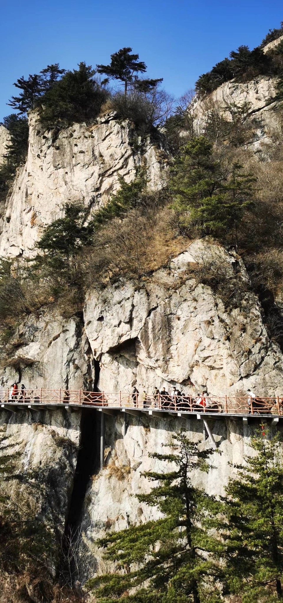 Lqt7cwNckFA-B4ZPU1upx1hwUfPZAKVA2O7KK_xp11TEOOZ_aE7qk50SBlsRxHOr