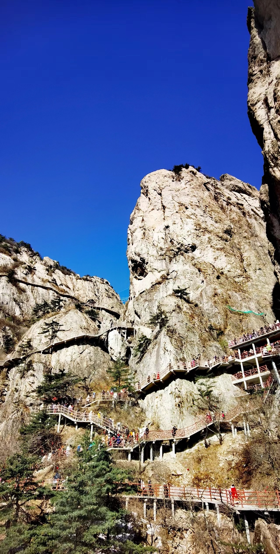 2wlrpwTMGxxvWitD0VMs4SEwzrjMBPP9MqjUtI9ZTKg-oeaOO6Wn_TO7dHX1DM9I