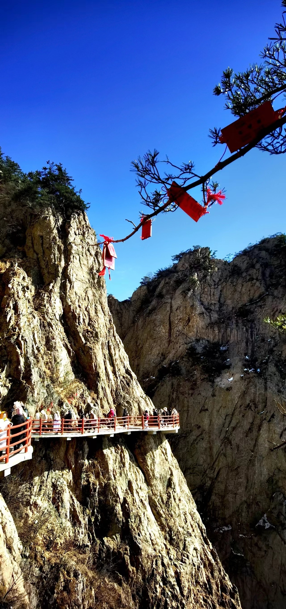 2wlrpwTMGxxvWitD0VMs4dnrPgMAJCmGaz79Qor_zSgY36ycTYELCkPgXUKbgpYD