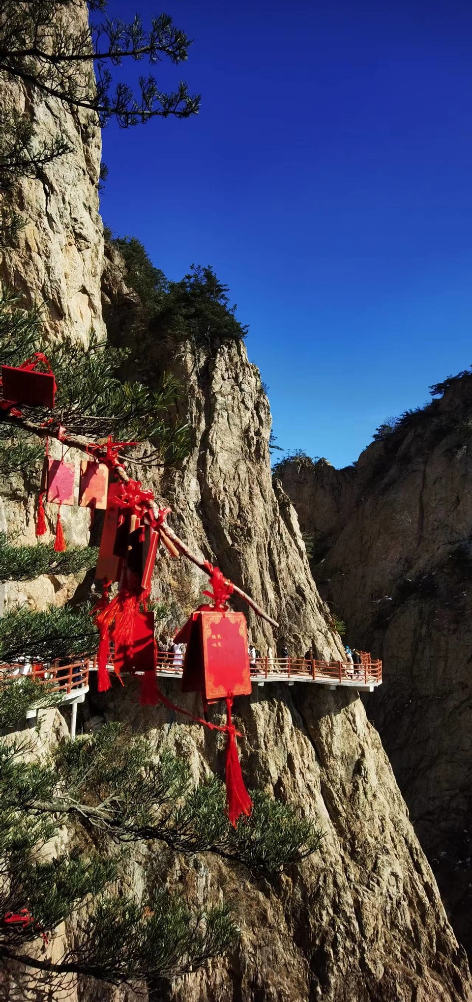 2wlrpwTMGxxvWitD0VMs4VJb9hyPINwrz3vxmLoLhbYUOVQsTMPD9XqiqwLkRh7O