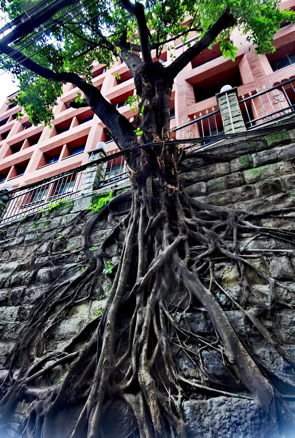 WGimn_yFZx7W2rkFqymOGjA0FwF85CH22E_WaB4SBr6ZxqAJBNCwuGbu-GKx1eYM