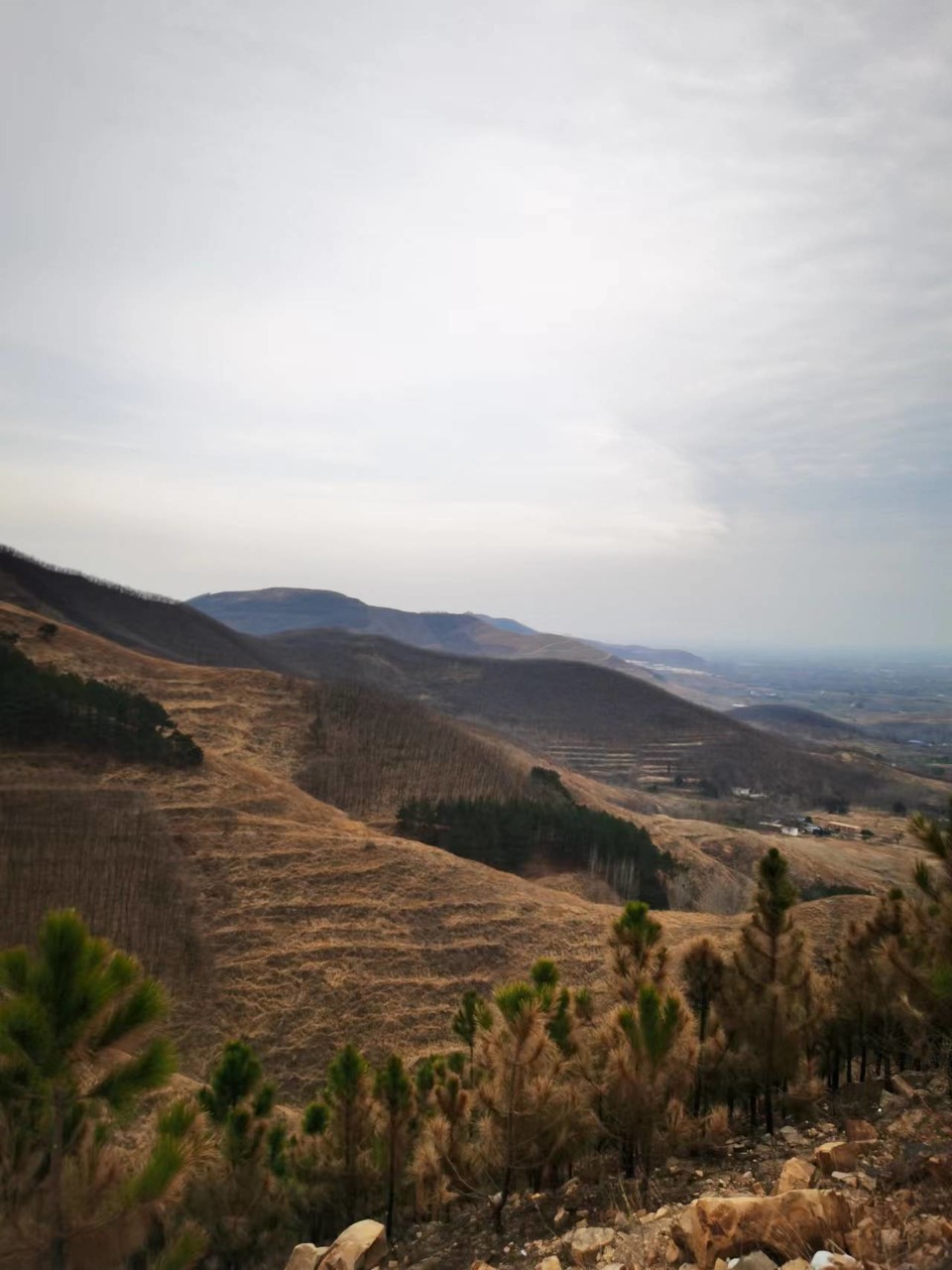 Hn0sNEGOjNj050kfH1d0lH__UjwiCWwbPVBAVdBFaynpXzjX2wD-uE3mgGK5Ydrf