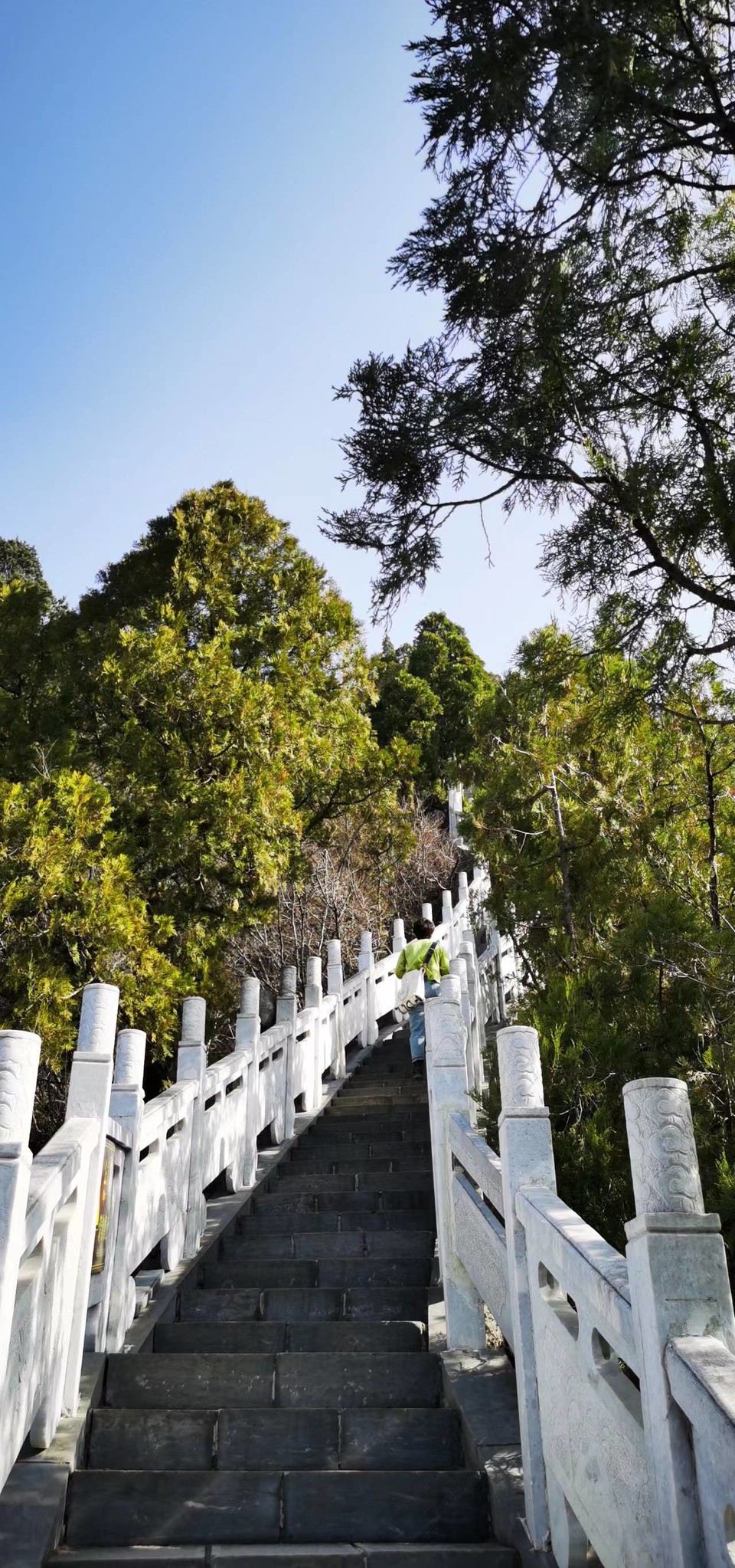 _Yzyk1iSidtXt3CNcxvWF78sjTG2qZS35Ie7zlfP10XJDc56Z0kREWufhYyVr6L-