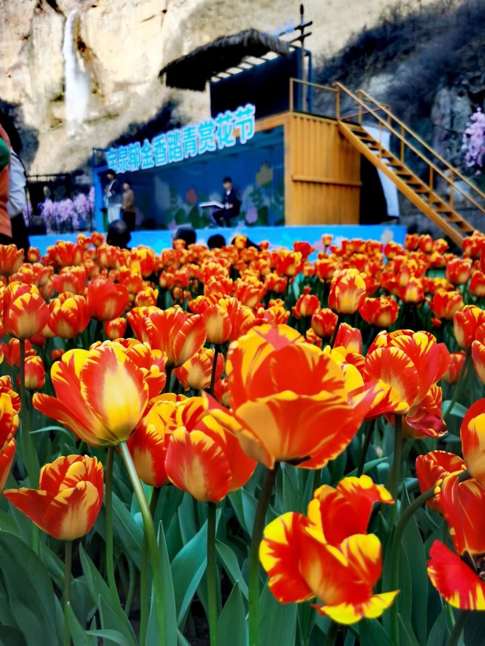 _Yzyk1iSidtXt3CNcxvWFzyWLzz7AxX2-Nasdoc5KbaONqMpvp8mzRyp1lDpPHHb