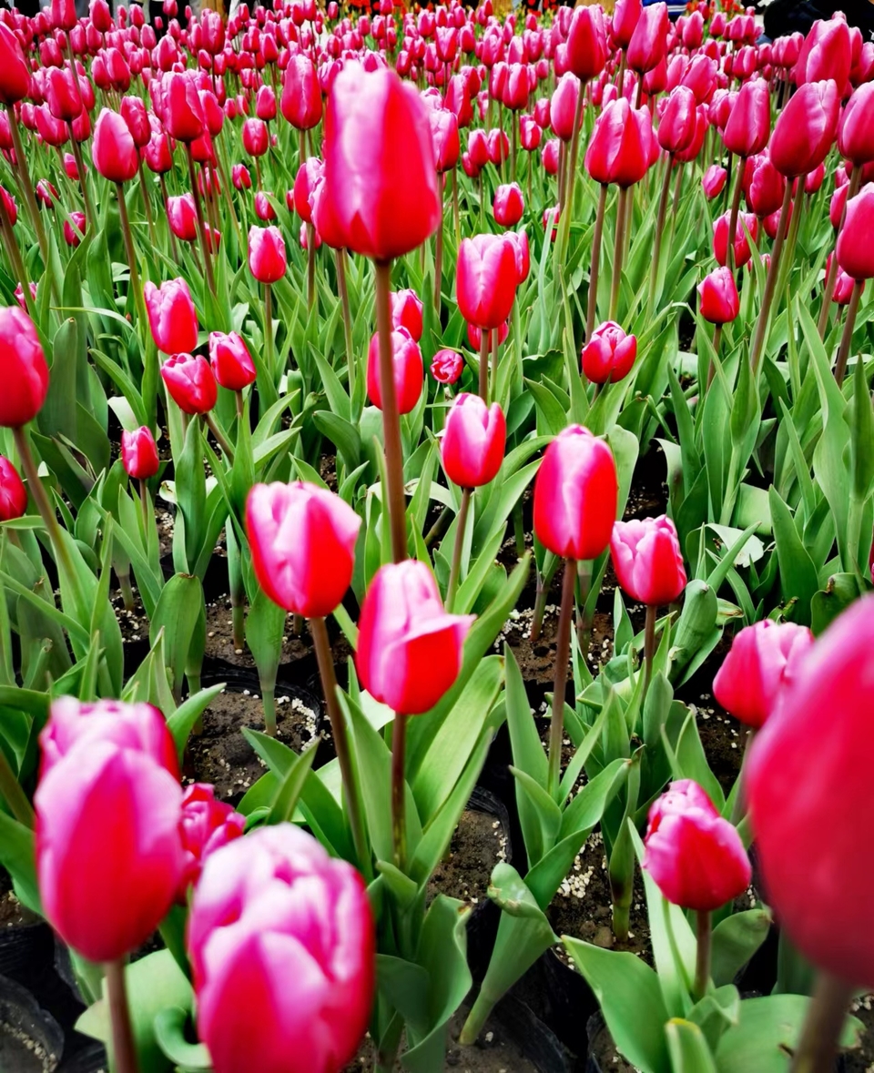 _Yzyk1iSidtXt3CNcxvWF_OCxR1kdETYSDh_lusNUXYsF8Z-W9675R0XHRMw-AYC