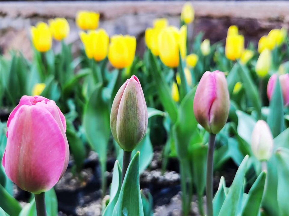 Zbt-Kd_tG7xlEAfMN7Esgkn4C27bM1QdW-XqwYCvWWxaYVbA93eE3PyTm9AgnPYA