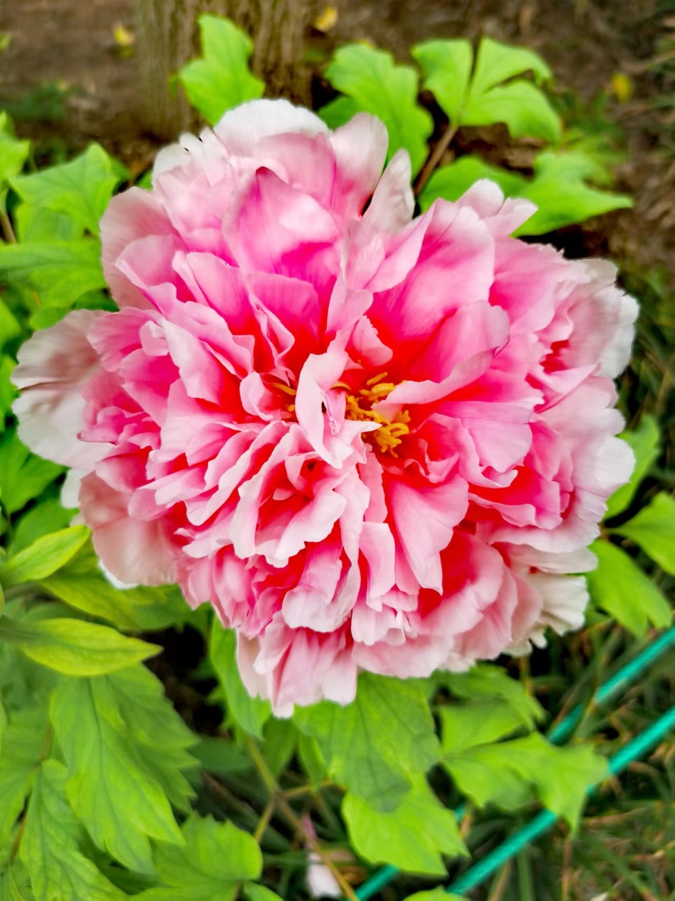 Rr9HNIDSp1eX5ytDH0VumKfXCwfF6kcdhnpeHcHSFE_uR1K9Ah8umNxmjCphmeqC