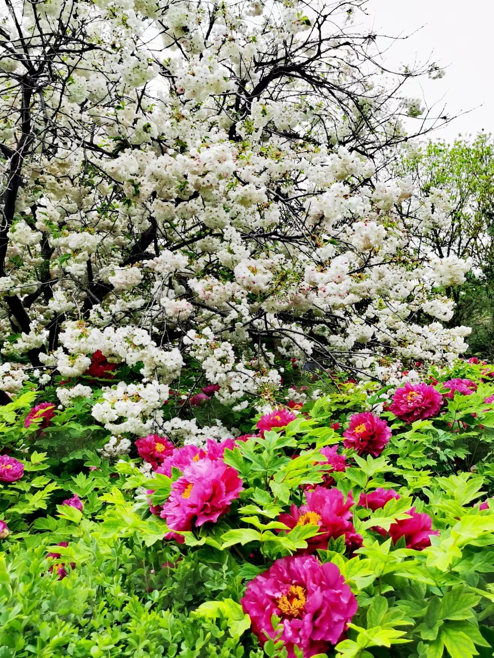 Rr9HNIDSp1eX5ytDH0VumDSO6nzXf8kAdkSB2QWcHQpetz2nrjbnWsiL7Cf2n2dP