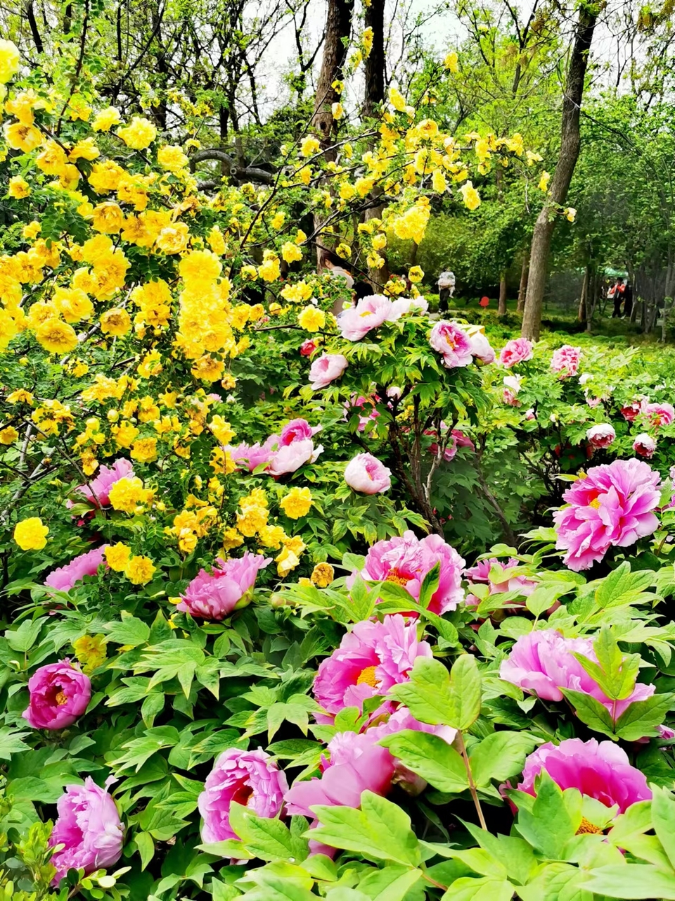 Rr9HNIDSp1eX5ytDH0VumAY9_gpr17aga3BebteNpOVYDLsTg083oFmZNxz3HN_D