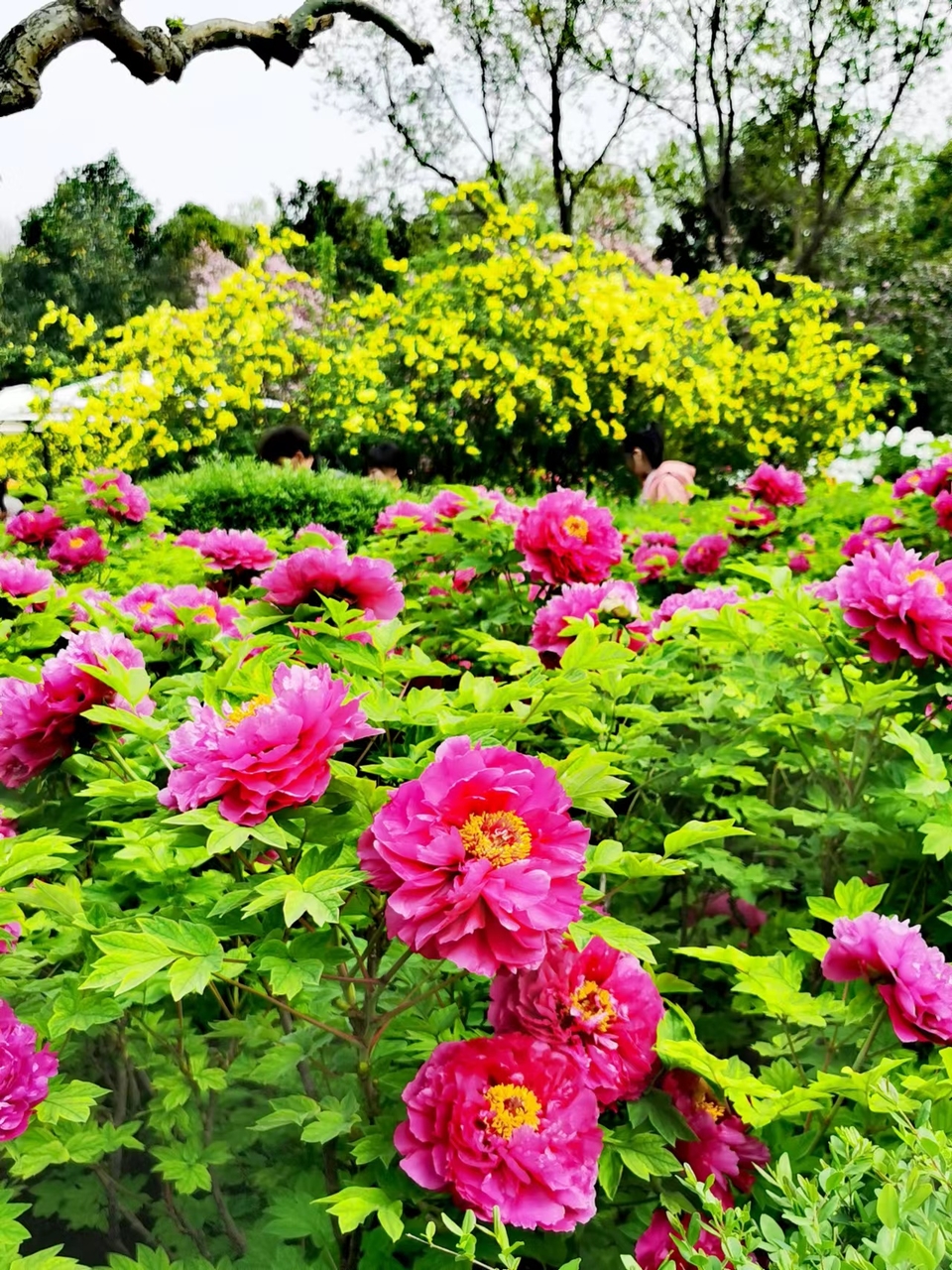 Rr9HNIDSp1eX5ytDH0VumI9mdXY-7eRNyH_hpvlje1vwa7FHTuwnyR3X97aoExVH