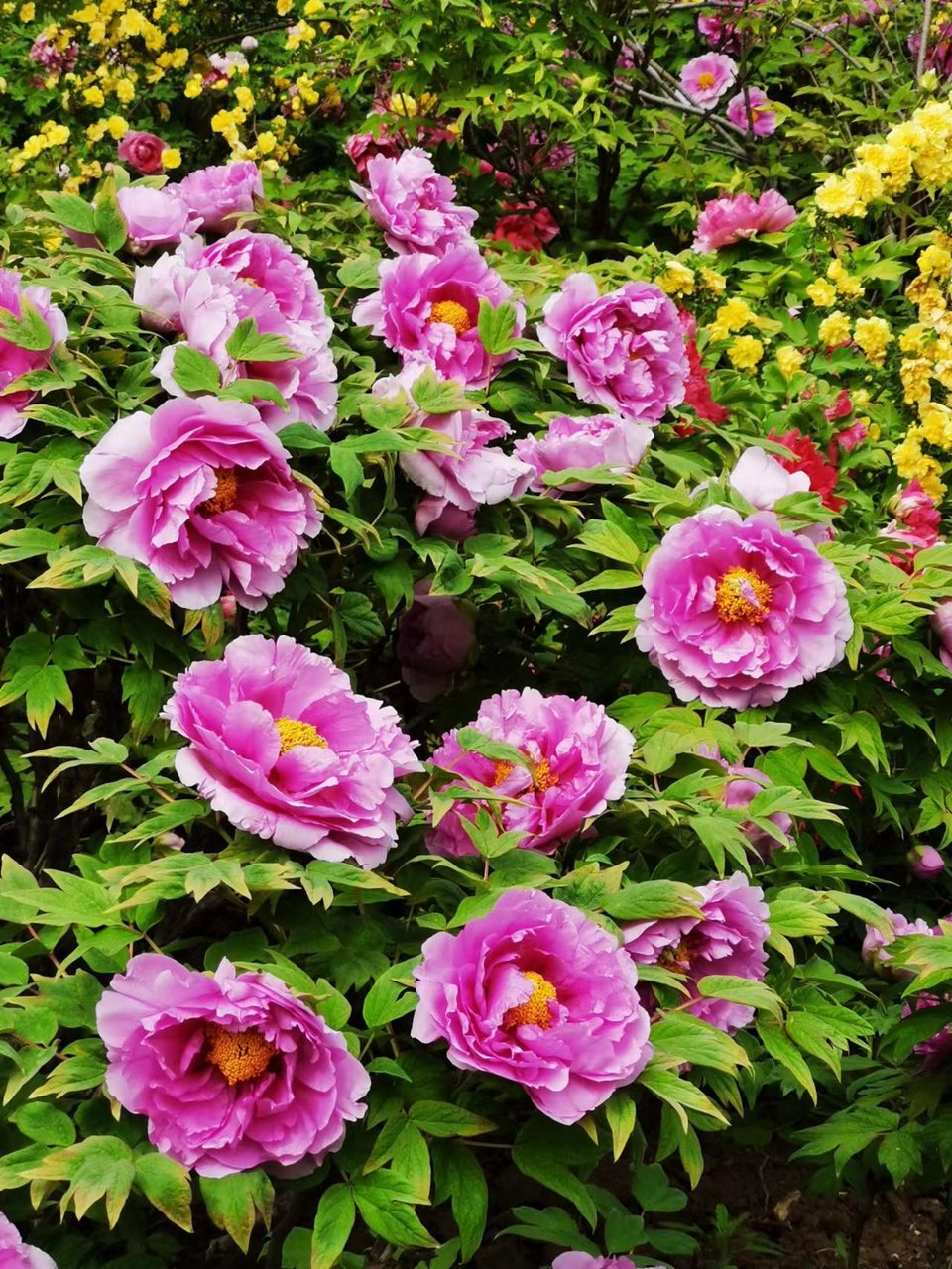 Rr9HNIDSp1eX5ytDH0VumGeXI_8Li32kRcgn4l03sfevsgXX6mStq8XVh0MTzONo