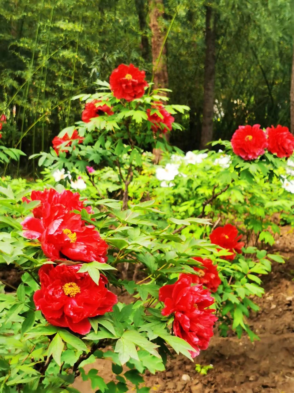 Rr9HNIDSp1eX5ytDH0VumMv5sbLEKd9H6Cp3mbqg_dBYZ7_J0eQWqW8KpNJgFEs2