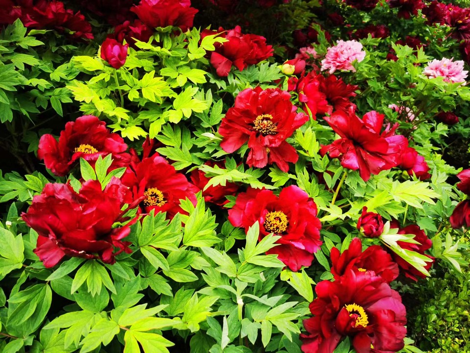 Rr9HNIDSp1eX5ytDH0VumLHR4bpWogIo2j4RCYWDtJYkNDx4nLb56EPJ5PZeARty