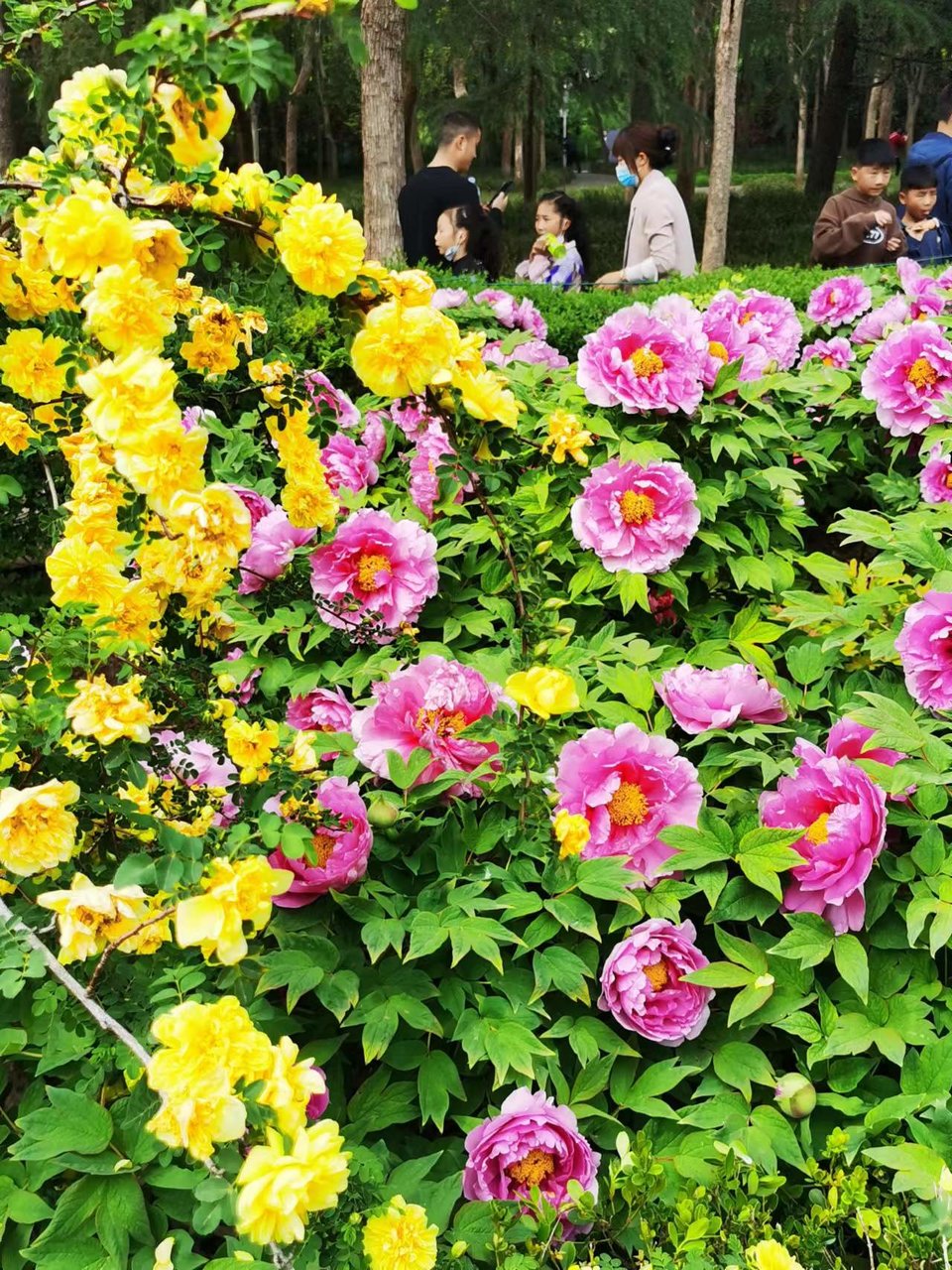 Rr9HNIDSp1eX5ytDH0VumBj3_IzABZEZDQHRSdQrcU0z33-cOeSr7J478vidMgJR