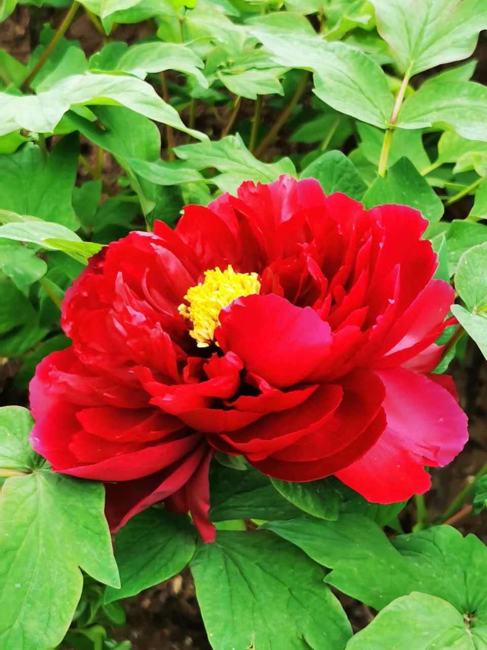 Rr9HNIDSp1eX5ytDH0VumMp3kxSJNi2DifN1wkx1syBsps1PheQreJCj8TZiCpf0