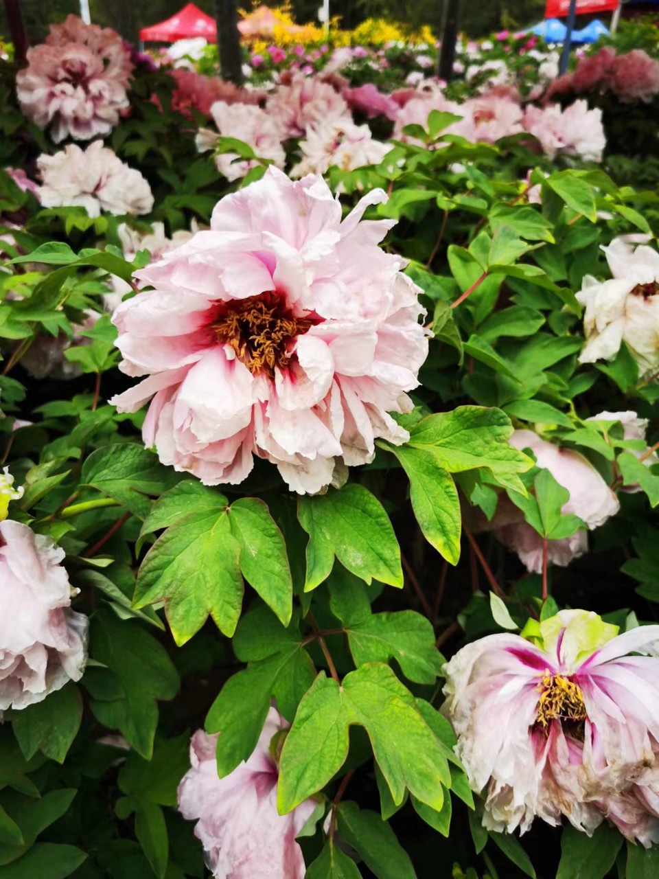 Rr9HNIDSp1eX5ytDH0VumHagPxehzsEF1lqjiPDQRtTL99YQ5htNTk-nzN5ivM1L