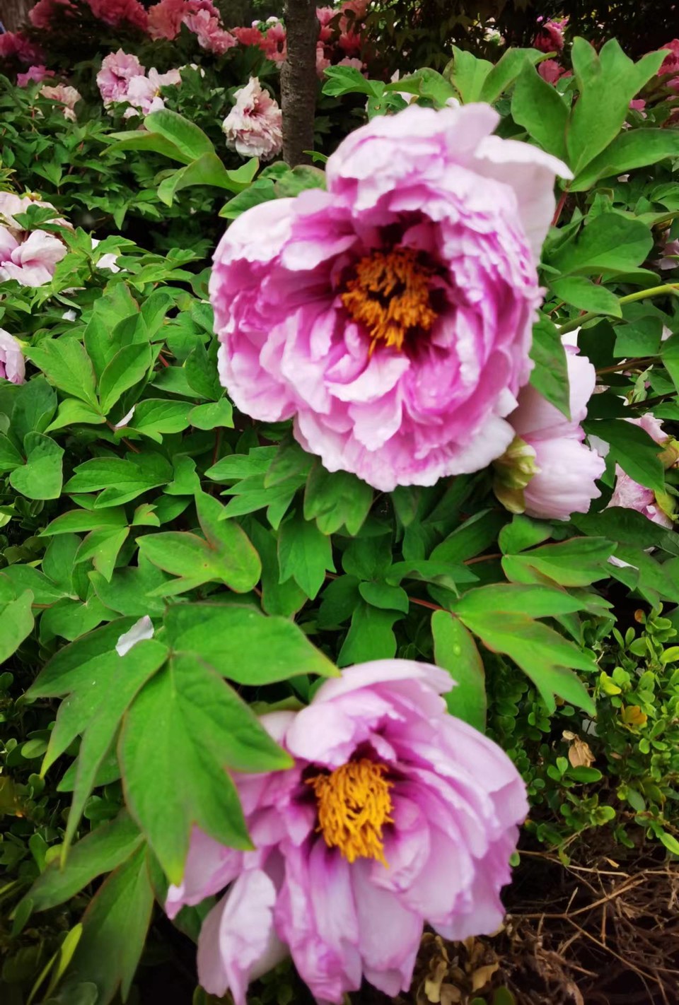 Rr9HNIDSp1eX5ytDH0VumGkS-KOoJGbYBbVyJsbtIiYoOHw6zNRR2UKDQj99j1gB