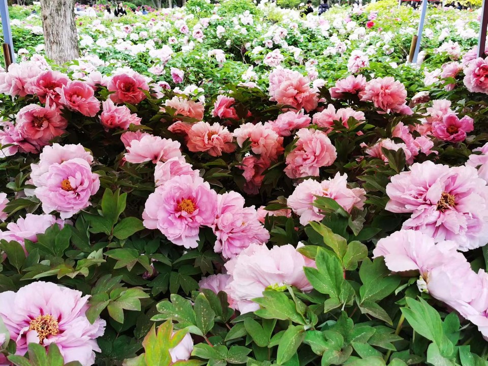 Rr9HNIDSp1eX5ytDH0VumNnBvbfwnazWVbKyqLmO4Q42RnayPr7IL_lyZ7yhdQu3