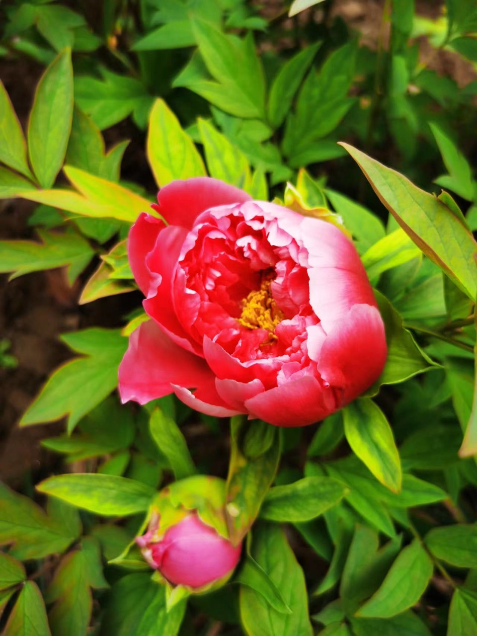 Rr9HNIDSp1eX5ytDH0VumDv_399sGBQ-QUAn1E76G1NQE1znV0viiWYZ9_ngDJPa