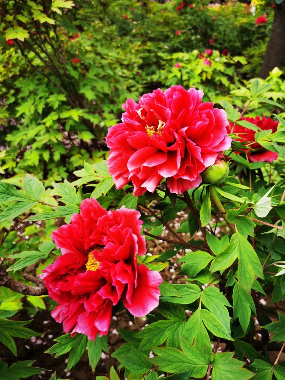 Rr9HNIDSp1eX5ytDH0VumFKvuIURaAWCkaqPH6QIM8zKugXZuCqIud_PvvRfyGuP