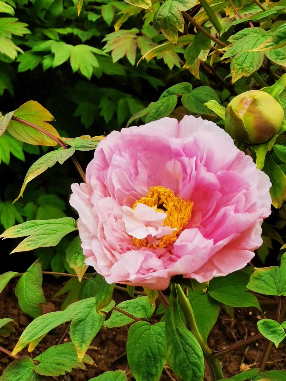 Rr9HNIDSp1eX5ytDH0VumOl7XDnaZk1HkVET_RetFyjgWWqraq4mWmsB2XfAnf1N