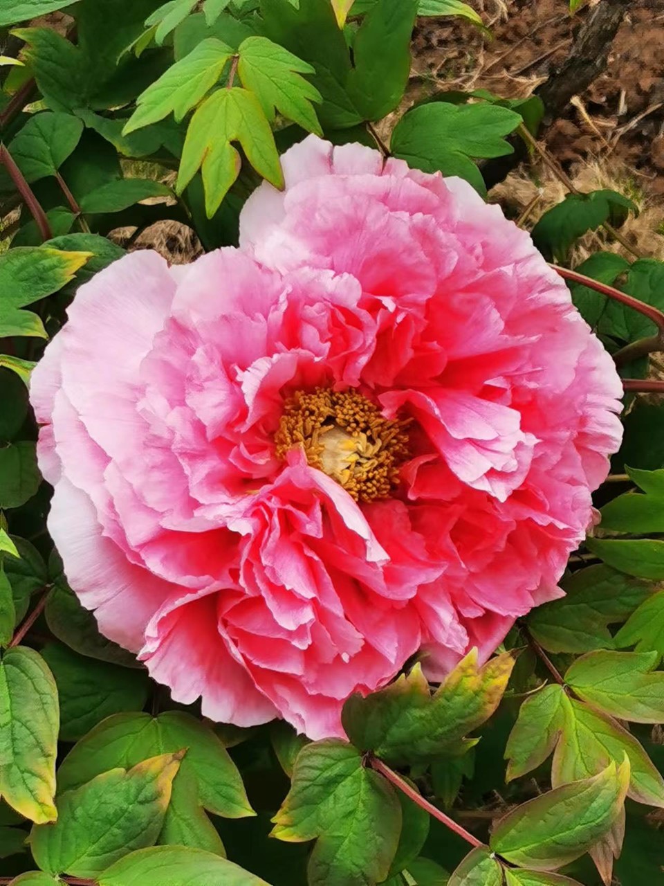 Rr9HNIDSp1eX5ytDH0VumITEshHFNc7wFsv-WjnjJmYXZ5U7_kpTklV0mgX33xyx