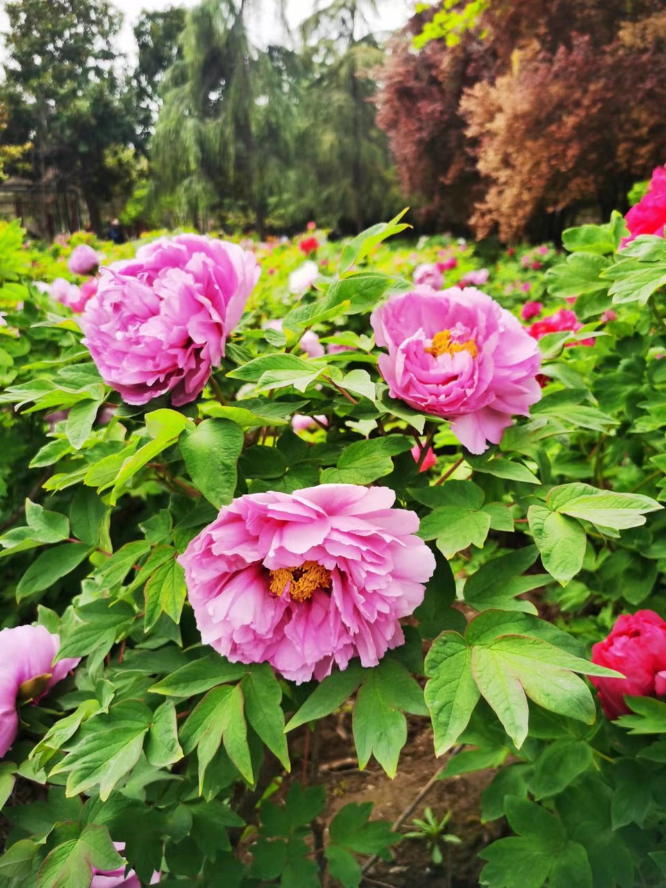 Rr9HNIDSp1eX5ytDH0VumGEJMH21naKuXwYvOG2-cJWcBSnEjSgXOXWihbiQeldj