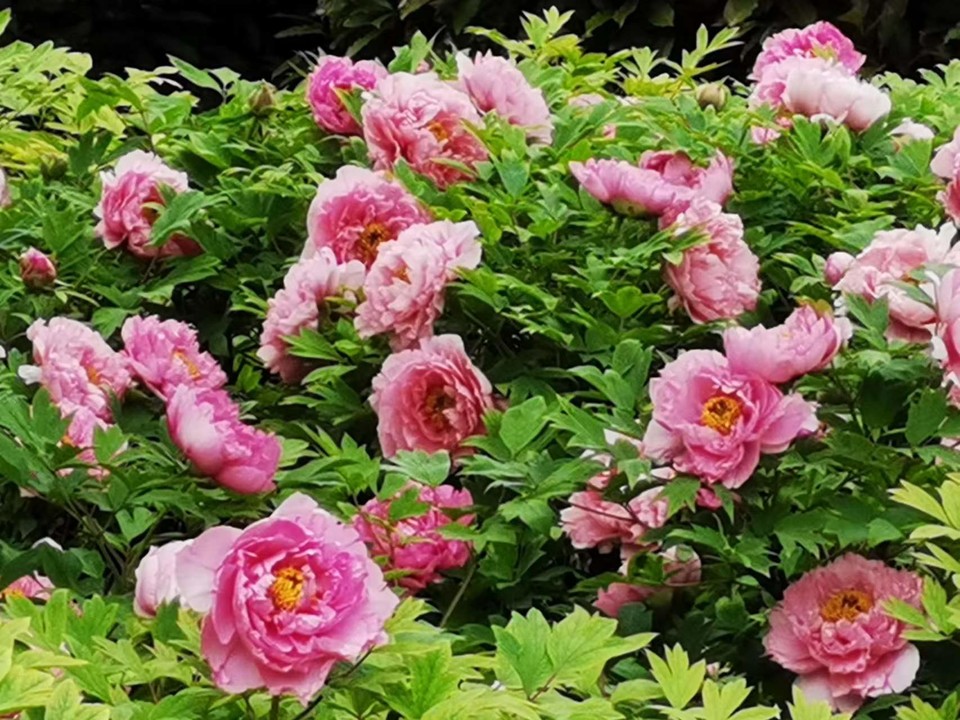 Rr9HNIDSp1eX5ytDH0VumBEQ2P9-iXX0jM_Y3pPzDW3Hhe5LkWhKUFNTAFinTeAO