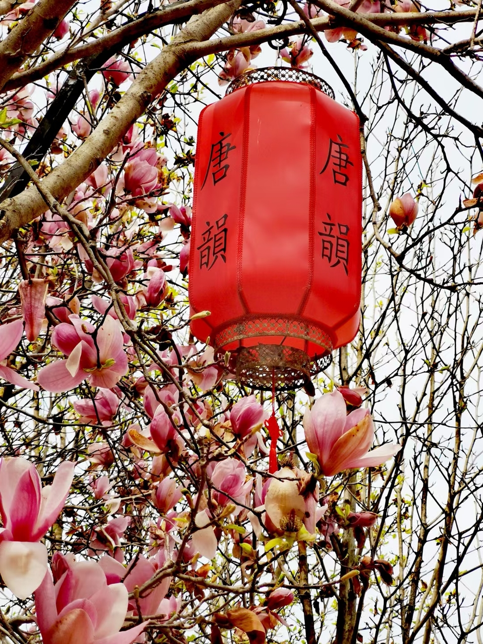 Rr9HNIDSp1eX5ytDH0VumIYGHfB8z-E_Hm1wRb4arDpA1Ylori4lrSbBs6sn3-zS