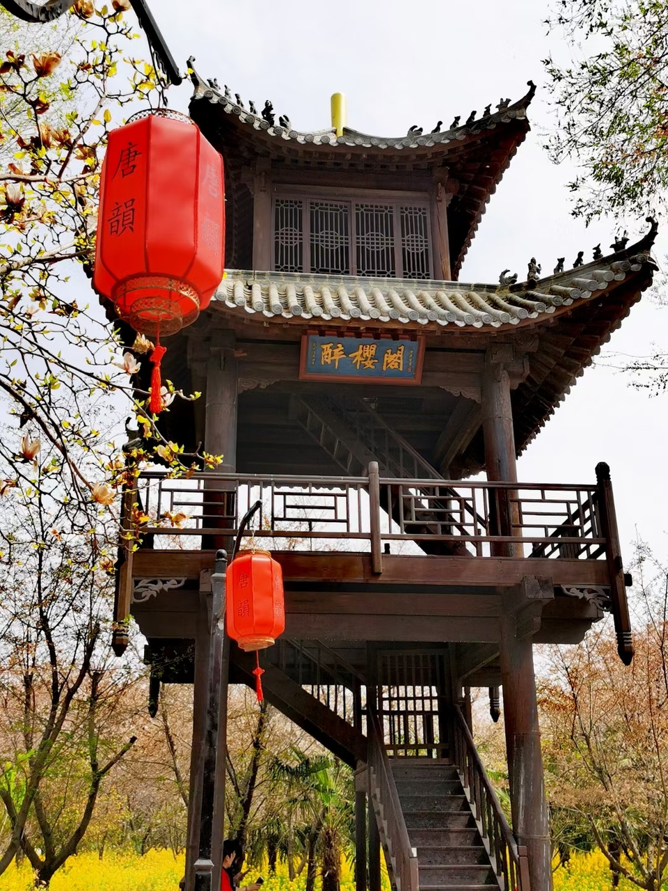 Rr9HNIDSp1eX5ytDH0VumHSJWIuAV8JjLp2Ee3BYRg22ioo3k_m0i97Bt2Ulv2Kd