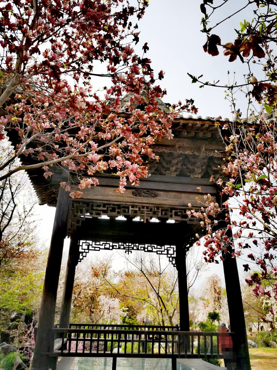 Rr9HNIDSp1eX5ytDH0VumOZb0uN9P9mN5udFvKoXg1cYxD6SDtgkLltHx0LwtAgL