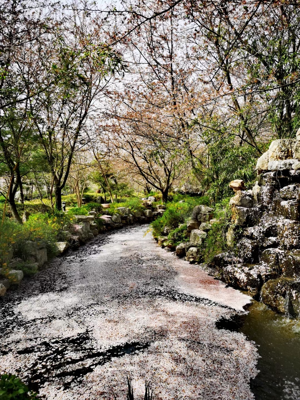 Rr9HNIDSp1eX5ytDH0VumBePTM6u_7P4cWUOn6Mc8C4ja2uK7hbJ9SushuvS0_io