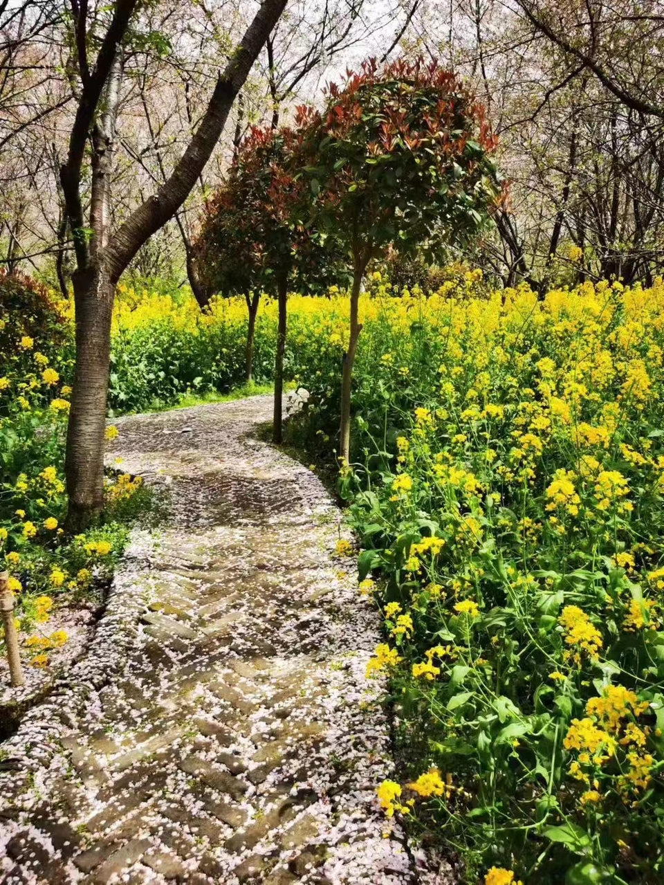 Rr9HNIDSp1eX5ytDH0VumO473skR7cGajBXkN23Uq-0Pi4wnoNjolSFHms3kVnu3