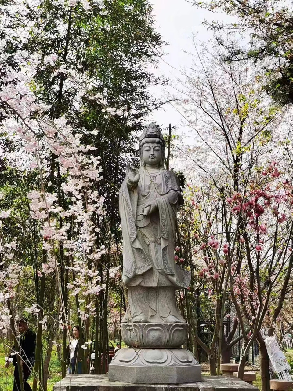 Rr9HNIDSp1eX5ytDH0VumGduf9FrUY1pP8Q4U93egZrnVyA7tFxKrZqTFLsAJpv8