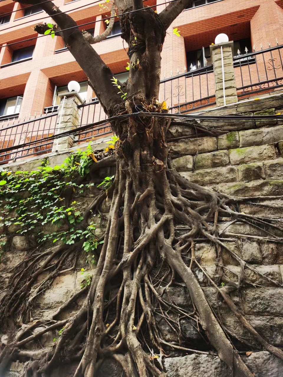 lUshLo2YIydzyol_GqHbbO8fsisN4VYGn5NqMVXykvZz-eYYJM1EFyAwpgUqjgzX