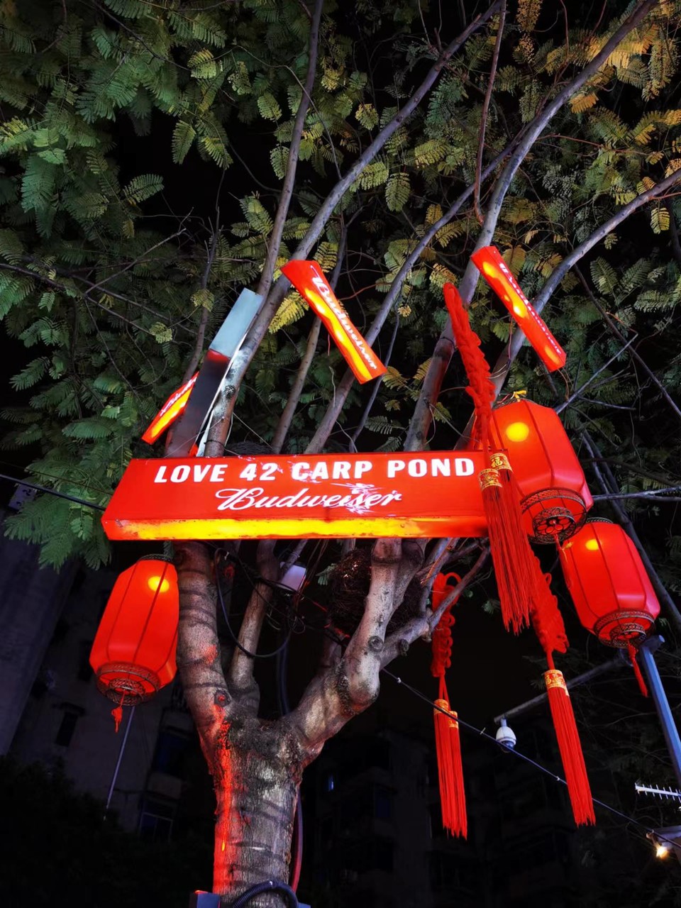 lUshLo2YIydzyol_GqHbbJ96lKi3DtvwkYQo5VTIiuoOlNpb4o6AVL9JZOaUKoNc