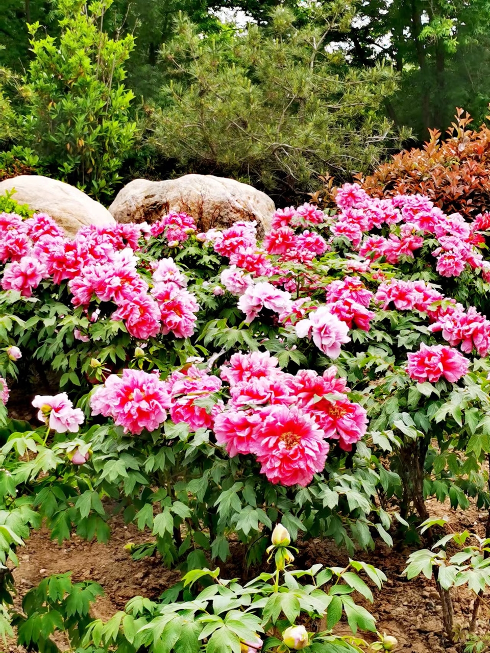 OyJ_FBqdlnjk191dHFX0lyDJ4GjJwb7HeiJGiVSiQdx8TXhnjnaSALSMvy8soCrI