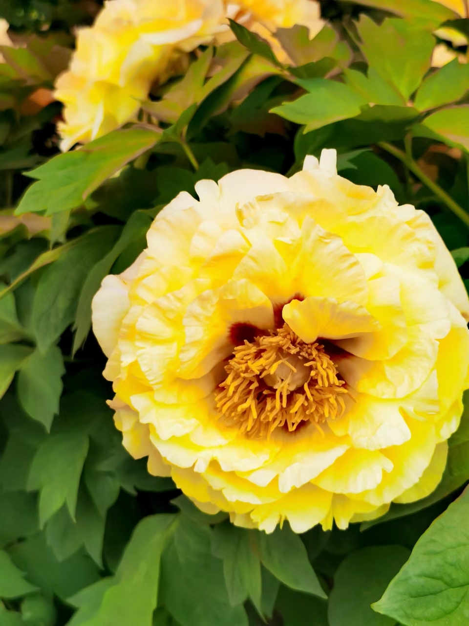 OyJ_FBqdlnjk191dHFX0l54NXukCxxypOrg2QpYCrcbjPSmSDQJXFfZ0Yn30H3sC