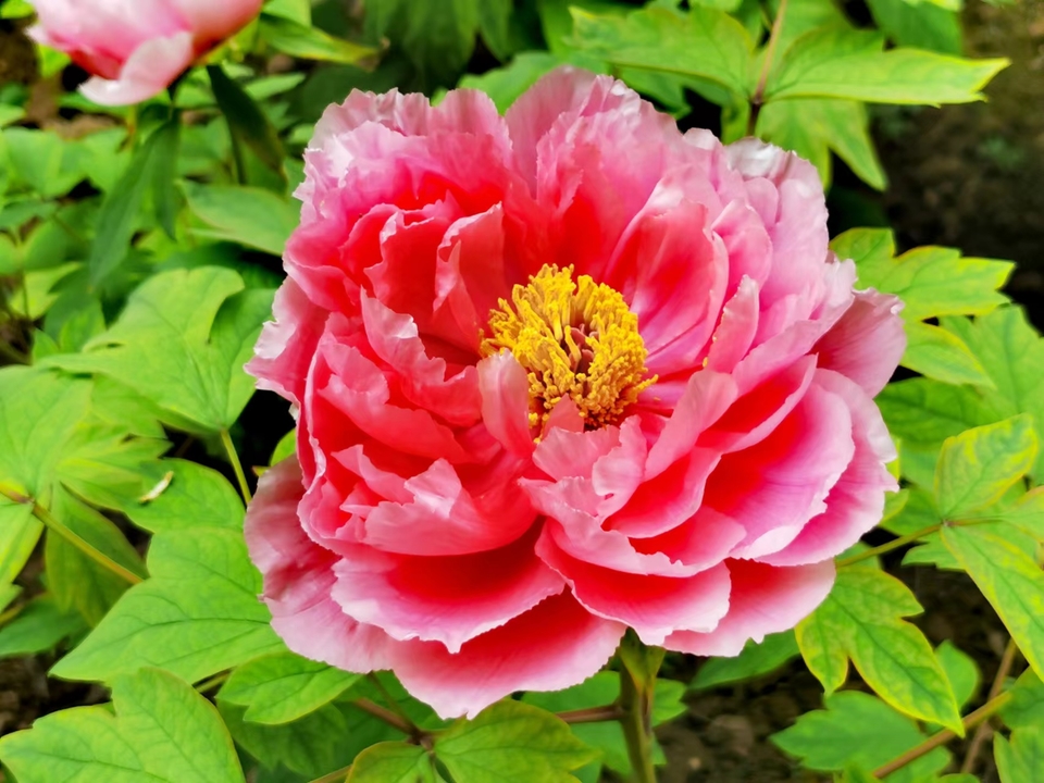 OyJ_FBqdlnjk191dHFX0lyym6To2cZH8-LL6p6xMb_PfclZksvDOSwChVvdCD8X2