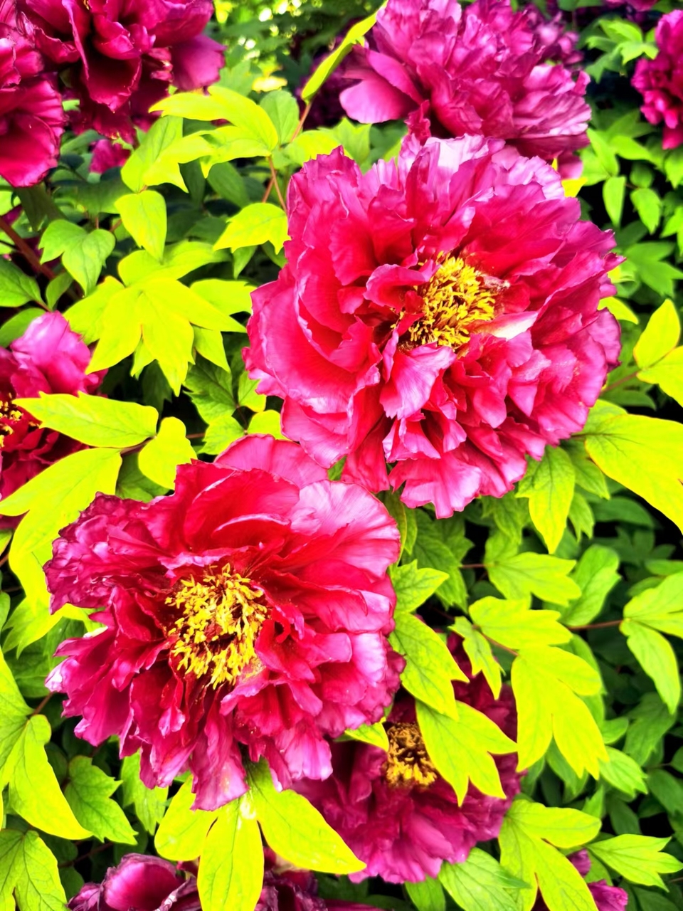 OyJ_FBqdlnjk191dHFX0lyXljyjJLKf0vBnHk9MWDOGVRuRmu3YXc4pbPEpDAdW7