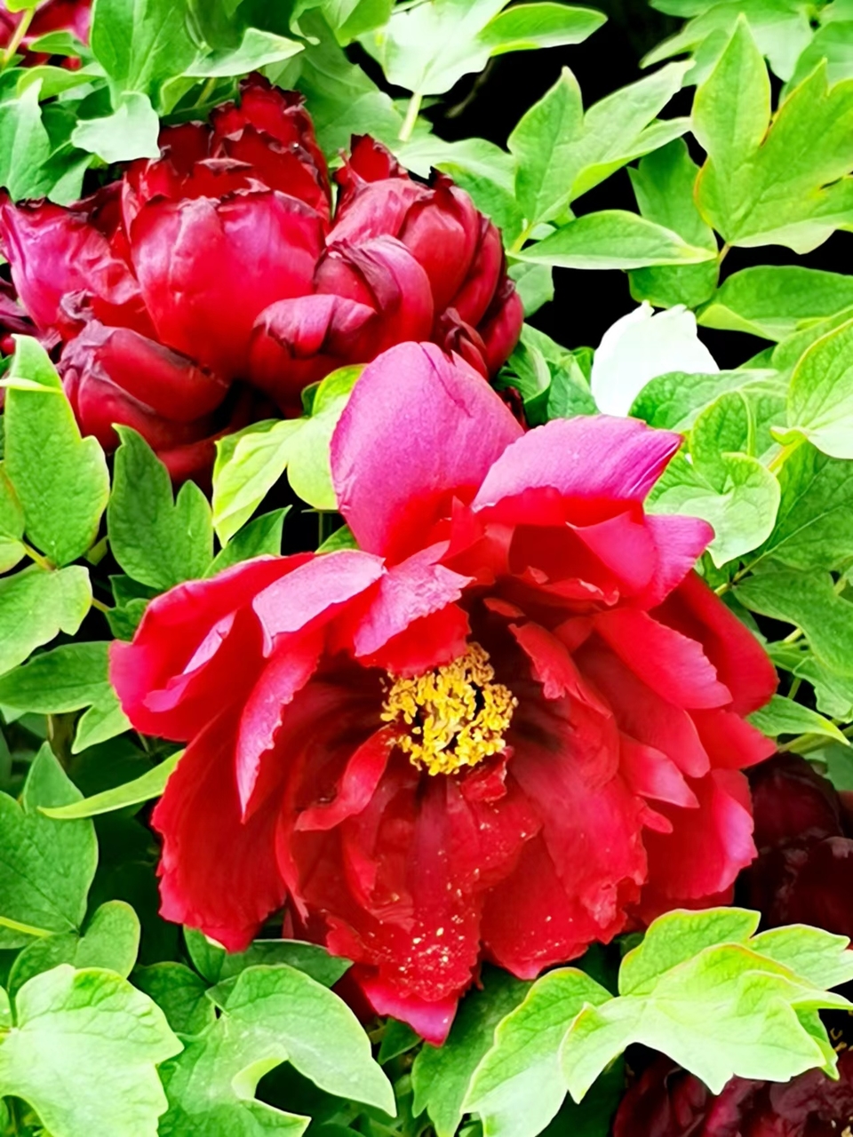 OyJ_FBqdlnjk191dHFX0l6OuNECDlG-M8cCkNfoipETDiNFD4TYsVIWyG7QoxuRl