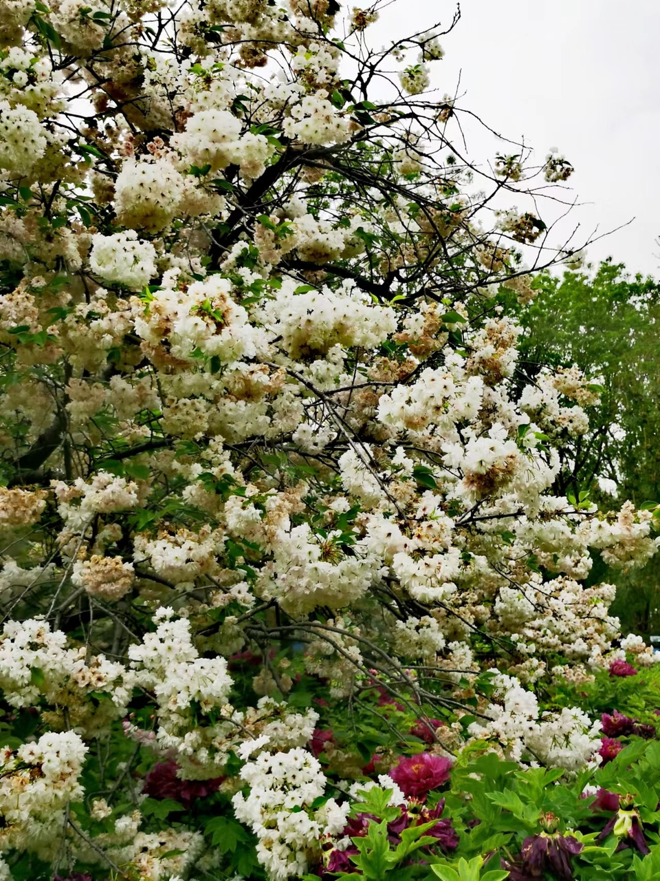 OyJ_FBqdlnjk191dHFX0lxpItZ_uZ9FmEb712DLp5PeEz-9WyBM78pcliPnVIx7y