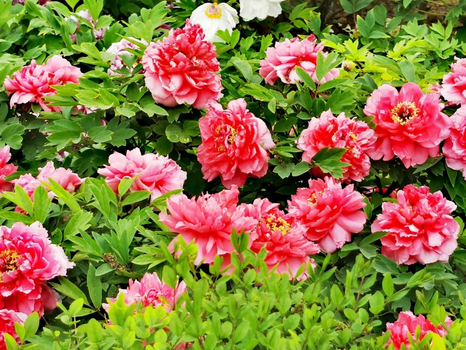 OyJ_FBqdlnjk191dHFX0l-wMoLyHx6Fx1LTsmHGvhhrIuWRyMSdDY8nhSuzE7Uap