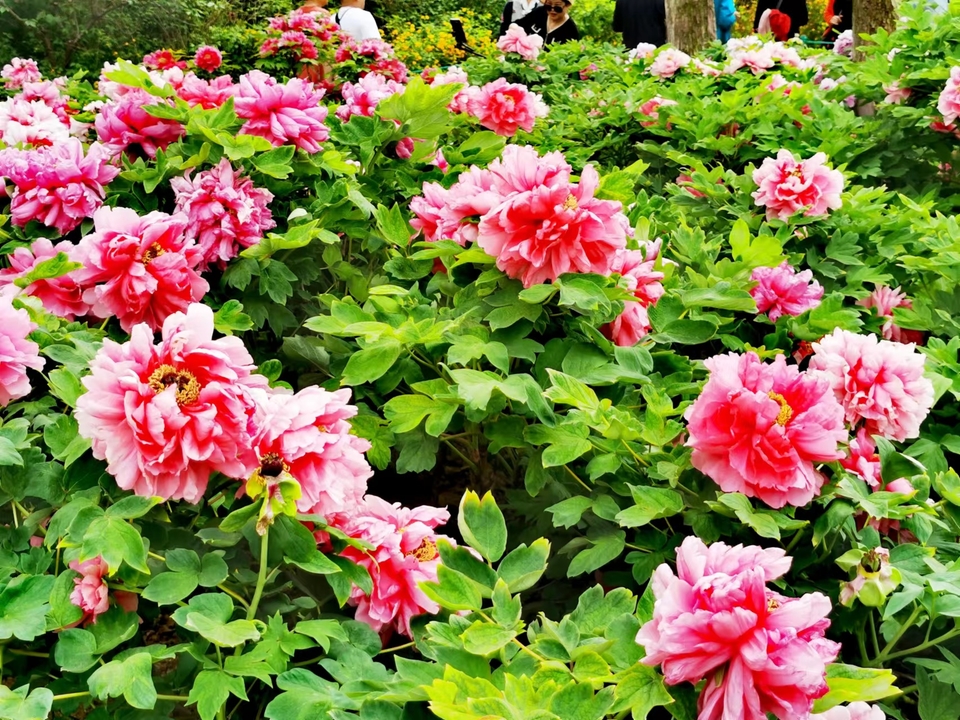 OyJ_FBqdlnjk191dHFX0l_QvGyAcrEBUUEGLAo98PnNUS7ne6EnITb3Fqv6QXuLV