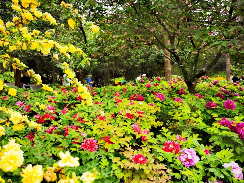 OyJ_FBqdlnjk191dHFX0l1DoezknF13hkPZ-GJH38L8YEApQOGeTbxHbSDcxbZnp