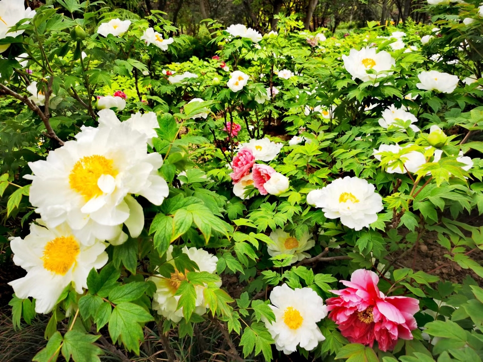 OyJ_FBqdlnjk191dHFX0lykjeddFpVqJ9MQiOvOdOoXkoXqVHQdT0N6K-tymO30W