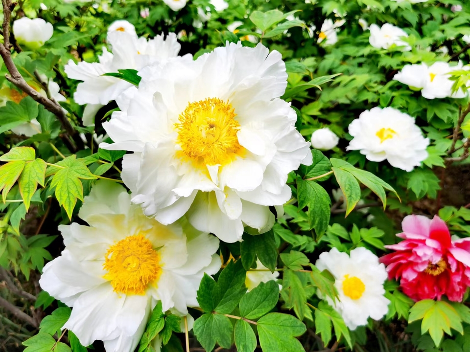 OyJ_FBqdlnjk191dHFX0lynlo3lA27ROa9PvIwnyoxGJhxwoIB4ohRBaV9E-MiB9