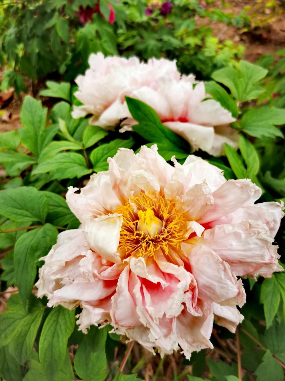 OyJ_FBqdlnjk191dHFX0ly7SXNhMZ-Ga-dVe6At9X4pLA2SmHEiR6wwutnsREeQU