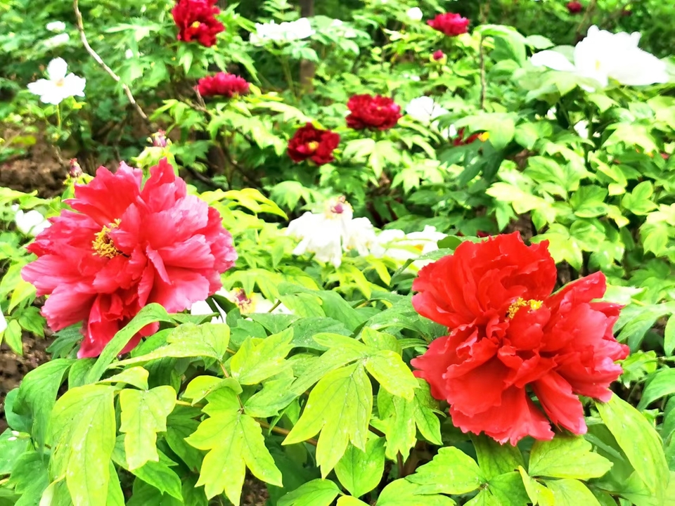 OyJ_FBqdlnjk191dHFX0l1Q17VjiclxU8Ca-4Jc6KuuqH-2SCYdx3ACVUbCnQ25e