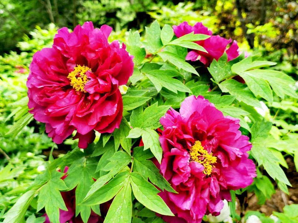 OyJ_FBqdlnjk191dHFX0l-i92VPeFdf8_s05-gG6zzT7t1a8W0PxpqladLbYwr_9